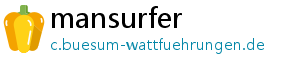 mansurfer